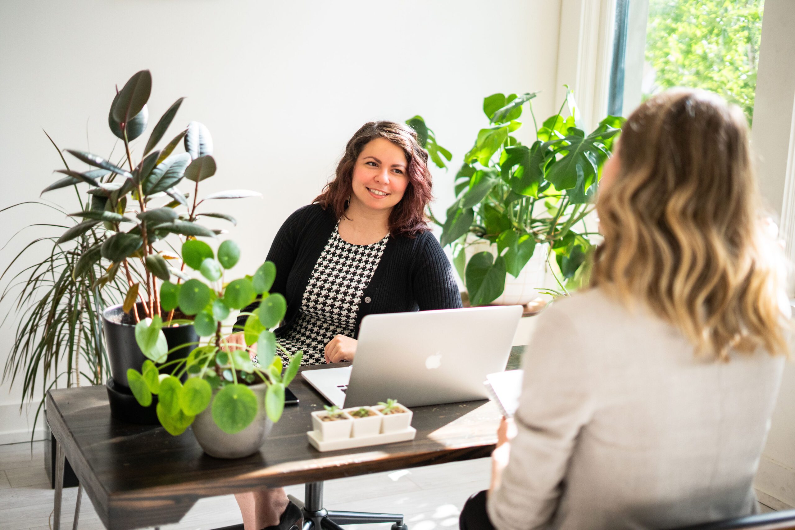 Alicia discussing divorce financial planning with client