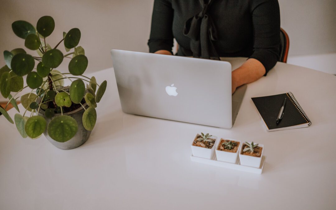 Demystifying Investing: A Beginner’s Guide for Women in Charge